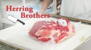 herring brothers logo graphic