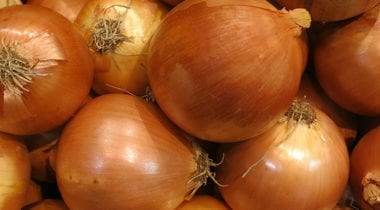 spanish onions