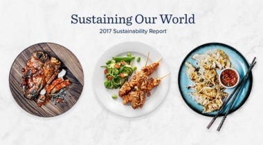tyson sustainablility infographic