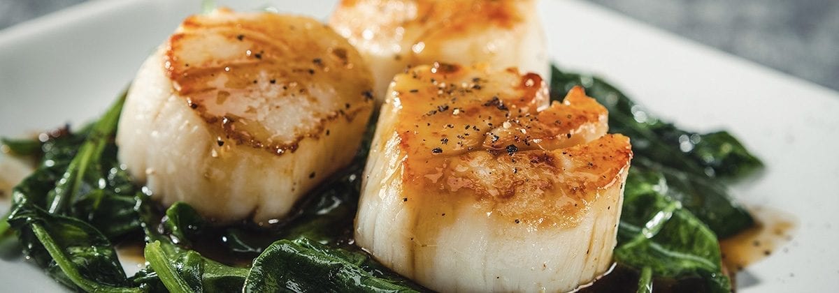cooked scallops