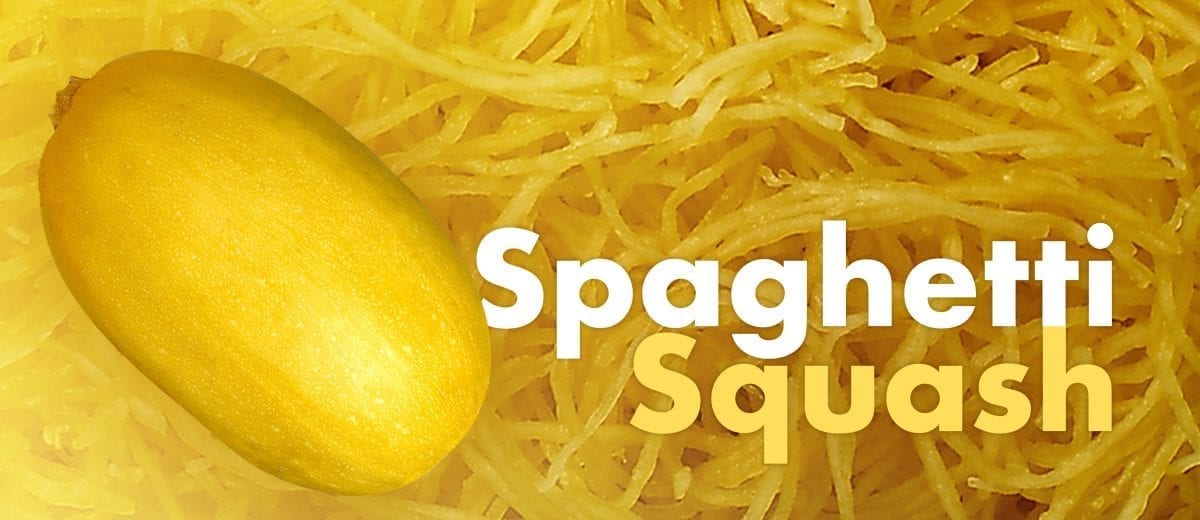 spaghetti squash banner