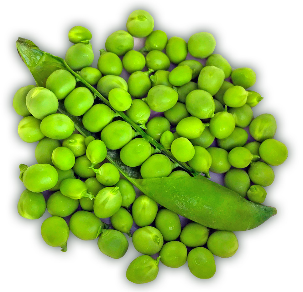 shelled peas and shell