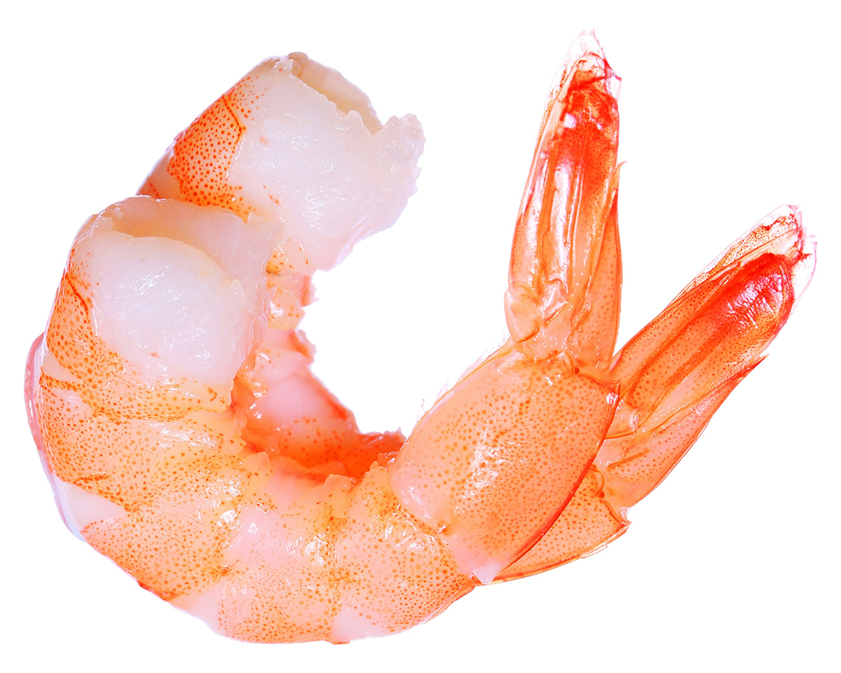 keto foodservice shrimp
