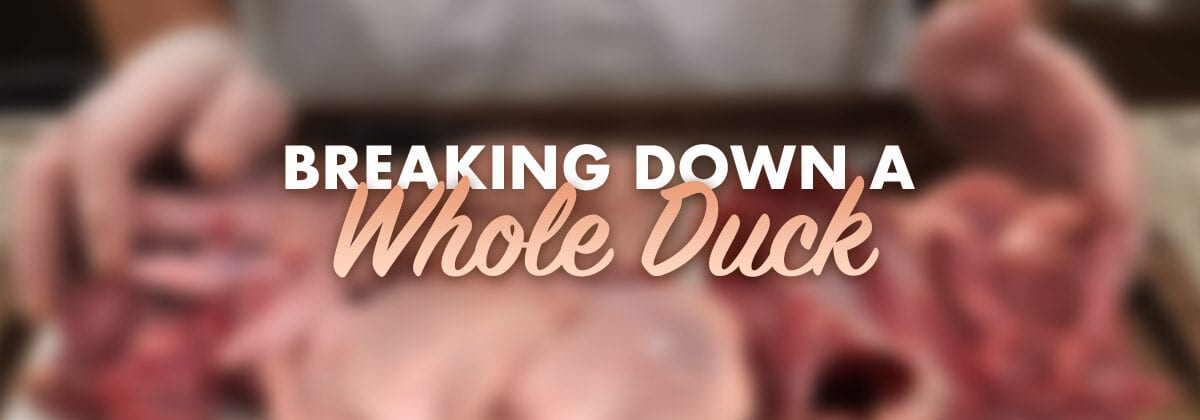 breaking down a whole duck graphic