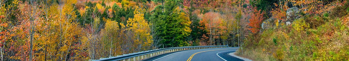 paved road through fall foliage