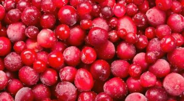 Close up of frozen whole cranberries