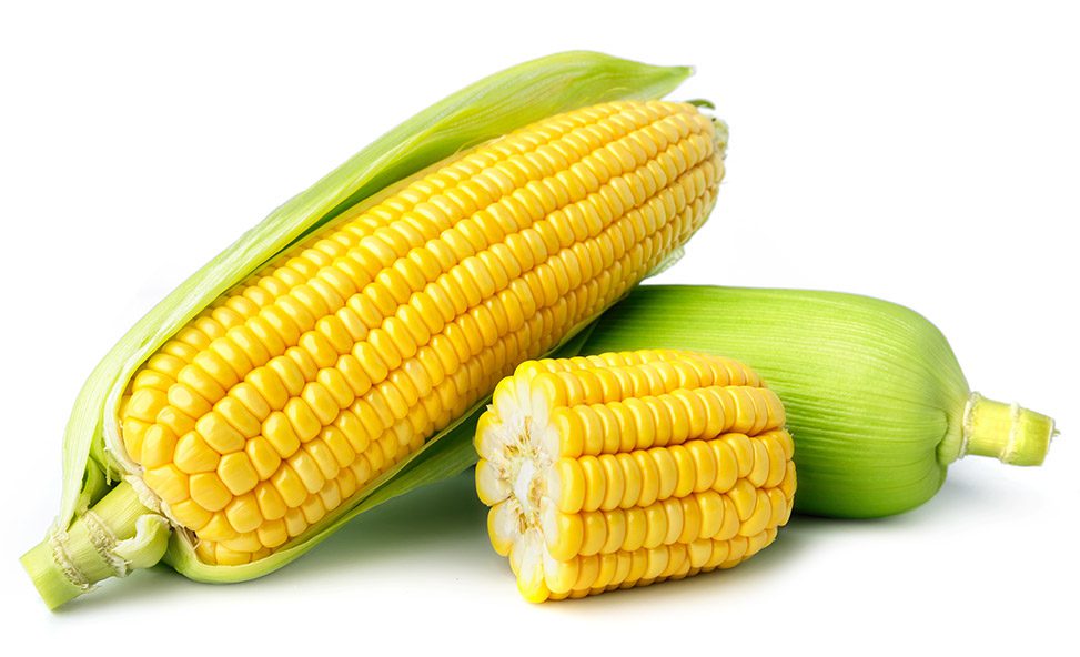 corn on the cob pieces